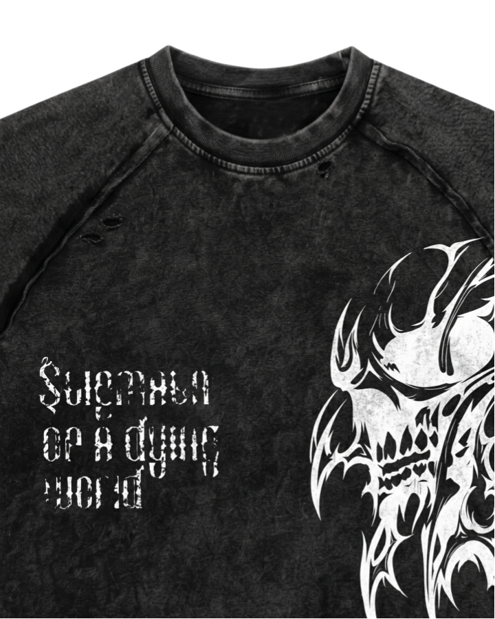 Distressed Graphic Skull Print T-Shirt